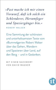 Robert Walser: »Spazieren muß ich unbedingt«, Buch