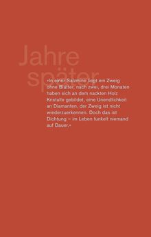 Angelika Klüssendorf: Jahre später, Buch