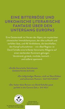 David Schalko: Bad Regina, Buch