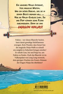 Michael Petrowitz: Dragon Ninjas, Band 2: Der Drache des Feuers, Buch