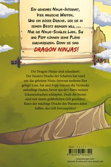 Text auf einer Schriftrolle: "Ein geheimes Ninja-Internat, vier magische Waffen... Dragon Ninjas!" Darunter Natur-Illustration.