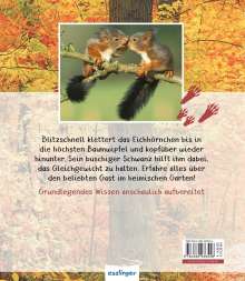 Stéphanie Ledu-Frattini: Meine große Tierbibliothek: Das Eichhörnchen, Buch