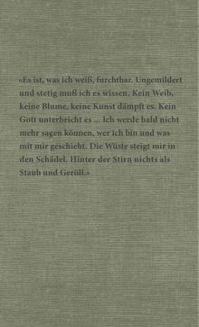 Botho Strauß: Saul, Buch