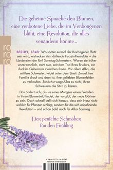 Rebekka Eder: Hyazinthenschwestern, Buch