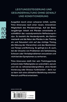 Timo Ameruoso: Seitenblicke, Buch