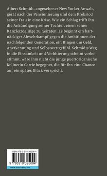 Louis Begley: Schmidt, Buch