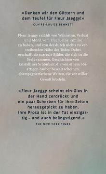 Fleur Jaeggy: Ich bin der Bruder von XX, Buch