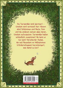 Martina Baumbach: Die Tierwandler 2: Alle Hasen fliegen hoch, Buch