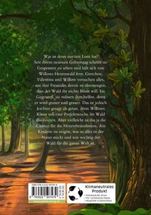 Sabine Bohlmann: Ein Mädchen namens Willow 3: Flügelrauschen, Buch