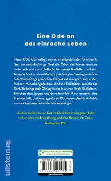 Niall Williams: Das ist Glück, Buch