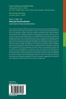 Rückansicht vergrößern