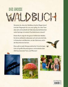 DAS GROSSE WALDBUCH – Texte über Waldkauz, Fliegenpilz und Eichhörnchen. Fotos: Fuchs, Pilz, Kinder mit einem Baum.