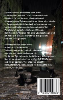 Ein mystischer Text über die Nacht, den Andersraum und Wesen, die den Leser einladen, eine Herausforderung zu bestehen. Darunter ein Barcode. Im Hintergrund eine nächtliche Straßenansicht bei Regen.