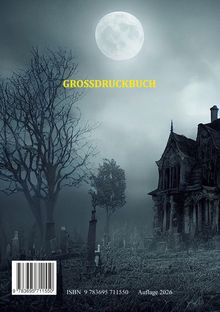 “GROSSDRUCKBUCH” in Gelb, ISBN und Ausgabe unten. Vollmond über gruseligem Haus und Friedhof mit kahlen Bäumen.