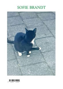 "Sofie Brandt" ist oben in Grün. Darunter sitzt eine schwarz-weiße Katze auf grauen Pflastersteinen. Ein Barcode ist unten.