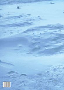 Verschneite Landschaft, sanfte, unberührte Schneedecke mit leichten Erhebungen und natürlichen Spuren.