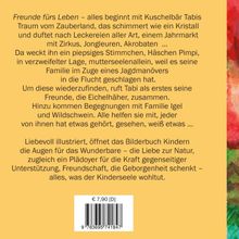 Freunde fürs Leben – alles beginnt mit Kuschelbär Tabis Traum vom Zauberland. Preis: € 7,90 [D].