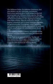 Thriller über Geldraub und Geheimnisse in Maines Wildnis. Protagonistin gerät in tödlichen Albtraum voller Spannung und Romantik.
