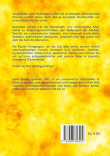 Vergleichbar mit einer Pralinenschachtel bietet dieses Buch kompakte Denkanstöße. Autor: Javier Dreyer. Preis: 22 € (D).