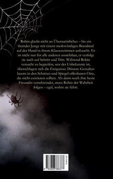 Text in weißer Schrift beschreibt eine mysteriöse Geschichte über Robin. Oben links ein Spinnennetz, unten eine Spinne.