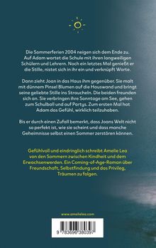 Ein Coming-of-Age-Roman über Freundschaft im Sommer 2004. Adam, Joan und Geheimnisse. Weblink unten. Gelbe Sonne oben.