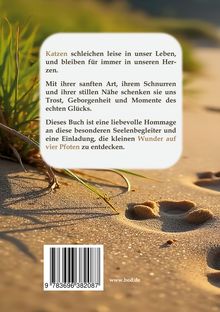 Texte: "Katzen schleichen leise in unser Leben... Wunder auf vier Pfoten zu entdecken." Strandsand mit Grashalm.