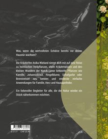 Text über heimische Heilpflanzen, Wissen, Kamille, Johanniskraut. Hintergrund in dunklem Grau und Pflanzen rechts.