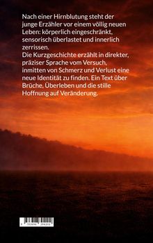 Text über einen jungen Erzähler nach einer Hirnblutung, spricht über Brüche, Verlust und Hoffnung. Hintergrund: Sonnenuntergang.