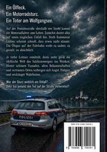 Ein Ölunfall und ein Toter am Wolfgangsee. Polizeiauto neben einem See, dramatischer Himmel, Berge im Hintergrund.