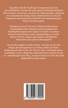 Ein Text über eine 19-jährige Frau auf einem Gutshof, gefangen in Machtspielen, mit einem Funken Hoffnung auf echte Liebe. Darunter ein Barcode.