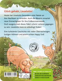 Alexander Steffensmeier: Lieselotte sucht, Buch