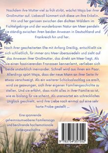 Iris Fischer: Die Sternsteins, Buch