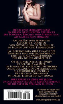 Texte in kräftigen Farben beschreiben erotische Geschichten über reiche und attraktive Personen. Eine Frau in Dessous posiert.
