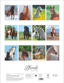 "Pferde - Sabine Stuewer". Zwölf Fotos von Pferden in verschiedenen Landschaften und Jahreszeiten.