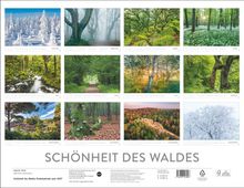 "Schönheit des Waldes" steht unten. Oben sind zwölf Fotos von Wäldern, je eins pro Monat von Januar bis Dezember.