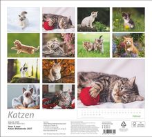 Oben: ISBN 978-3-76●●●-17●●●, Katzen Bildkalender 2027. Unten: Februar, Fotos von verschiedenen Kätzchen.