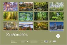 "Zauberwälder Edition 2027". Zwölf Naturfotos zeigen zauberhafte Waldlandschaften jeder Jahreszeit.