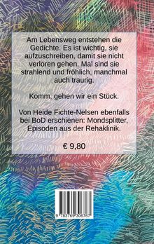 Heide Fichte-Nelsen: Falsche Farben, Buch