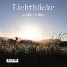 Sandra Friedrich: Lichtblicke, Buch