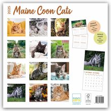 Plenty Gifts: Maine Coon Cats - Main Coon Katzen 2025 - 18-Monatskalender - Original Plenty Gifts-Kalender [Mehrsprachig] [Kalender], Kalender