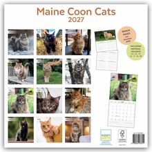 „Maine Coon Cats 2027“ oben. Monatsnamen bei Katzenbildern von Januar bis Dezember. Bonus-Pages-Hinweis und Feiertagsinfo.