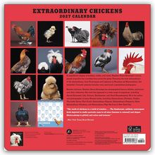 "EXTRAORDINARY CHICKENS 2027 CALENDAR". Zwölf Fotos von verschiedenen Hühnern, darunter ein Kalenderblatt für Dezember.