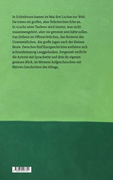 Text beschreibt fünf Kurzgeschichten mit fiktiven Alltagsgeschichten. Hintergrund ist zweifarbig grün. Unten ist ein Strichcode.