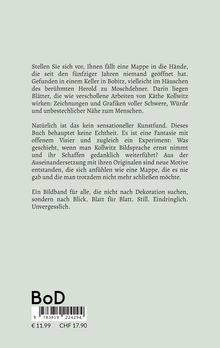 Text beschreibt ein Buch über fiktive Werke von Käthe Kollwitz, betont künstlerische Tiefe und reflektiert über Entstehung neuer Motive.