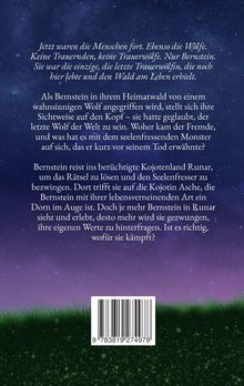 Ein Text beschreibt Bernsteins Kampf und Reise im Land Runar. Am unteren Rand ist ein Barcode abgebildet.