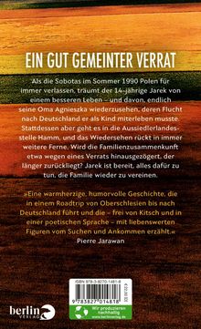 Mariusz Hoffmann: Polnischer Abgang, Buch