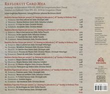 Gregorianischer Choral  "Refloruit Caro Mea", CD