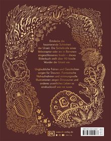 Anusuya Chinsamy-Turan: Wundervolle Welt der Dinosaurier und der Urzeit, Buch