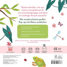 Sandra Grimm: Mein Pop-up-Buch zum Staunen. Wo kommst du her, kleiner Frosch?, Buch