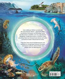 Annie Roth: Erstaunliche Welt der Ozeane, Buch
